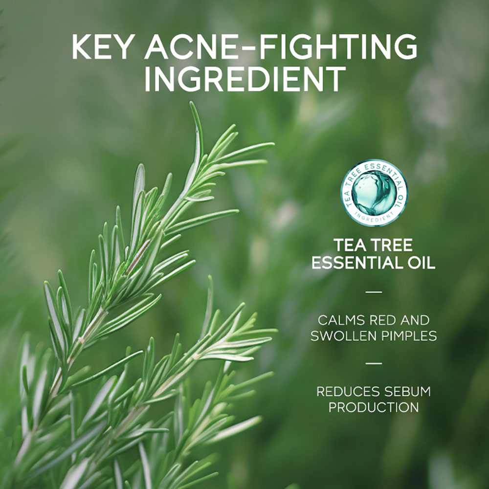 LAIKOUティーツリーアクネジェル15g、顔用ニキビ治療、 - Tea Tree Spot Treatment のレビューと価格