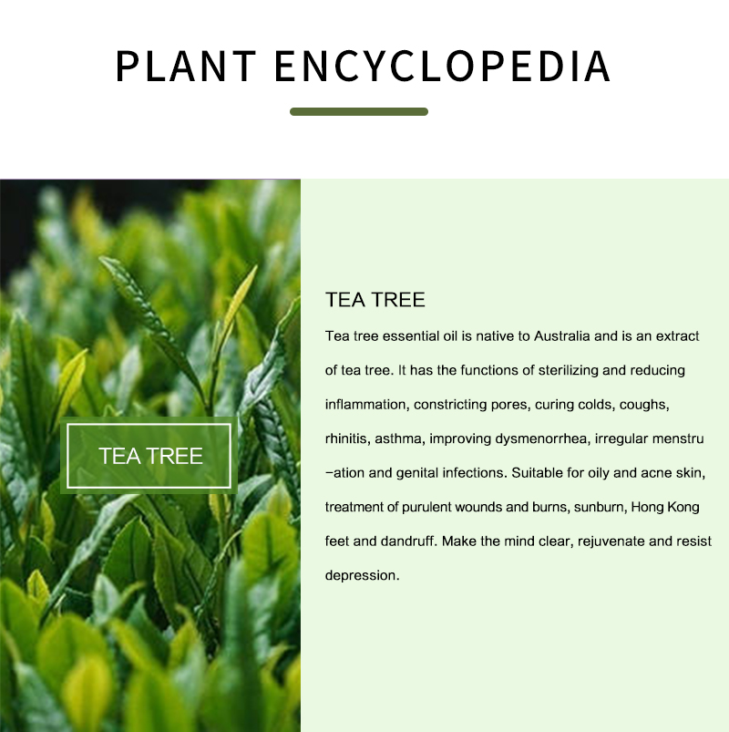 ティーツリー100% ピュアエッセンシャルオイル,肌,髪,乾 - Tea Tree Spot Treatment のレビューと価格